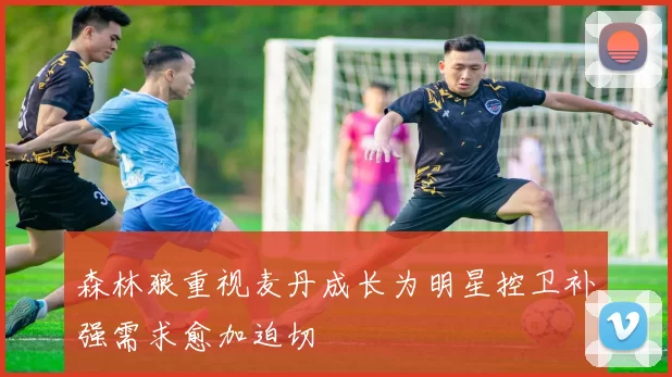 森林狼重视麦丹成长为明星控卫补强需求愈加迫切