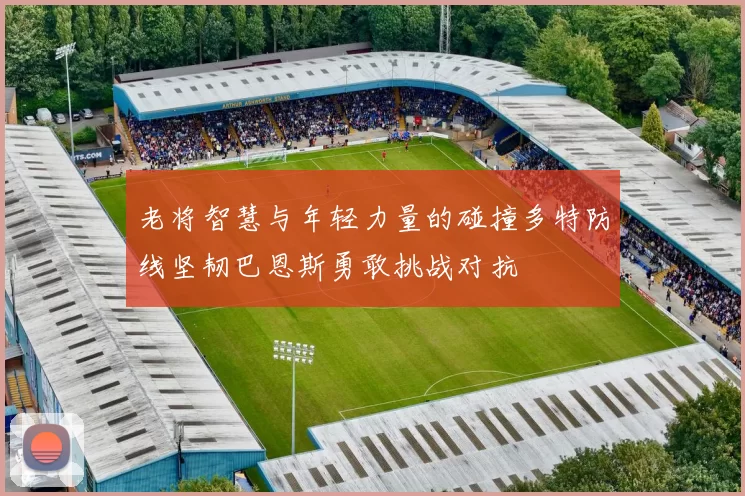 老将智慧与年轻力量的碰撞多特防线坚韧巴恩斯勇敢挑战对抗